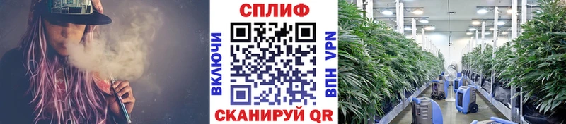 Купить наркоту Белёв БУТИРАТ  Альфа ПВП  COCAIN  АМФ  МЕФ  NBOMe  ГАШИШ  Марихуана  Псилоцибиновые грибы 
