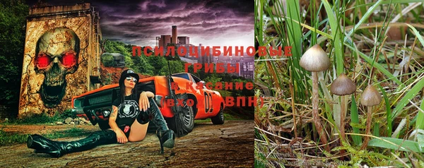 амф Баксан