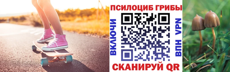 купить цена Белёв Псилоцибиновые грибы прущие грибы